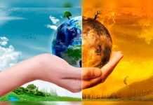 ¿Será posible que la evolución de los primeros animales provocara un calentamiento global? calentamiento global