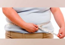 Descubren por qué la obesidad afecta la memoria y el aprendizaje descubren