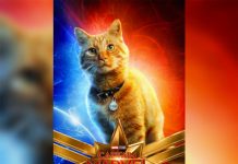 Marvel festeja a Goose en el Día Internacional del Gato estados unidos