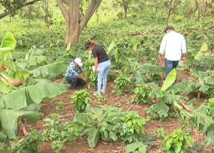 gov1_Vq0ogWu nicaragua