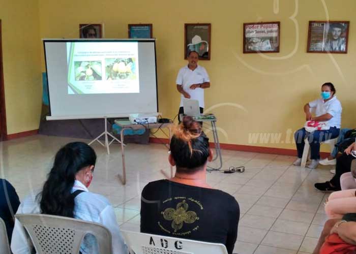 granada-medicina-natural-1 nicaragua