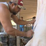 Bono productivo impulsa a pequeños comerciantes de la carne de cerdo nicaragua