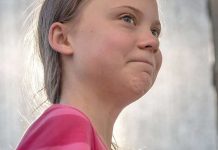 Greta Thunberg gana el premio Nobel alternativo dinamarca