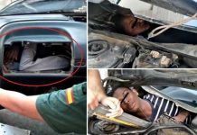 Migrantes ocultos en la guantera de un auto intentaron entrar a Europa