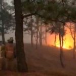 Madre e hija fallecen intentando apagar incendio forestal en Guatemala Guatemala
