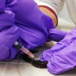 Francia autoriza prueba con sangre de gusano en pacientes con coronavirus francia