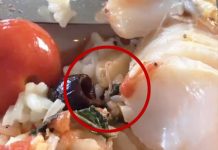 Encuentra gusanos vivos en su pescado; el restaurante se indigna estados unidos