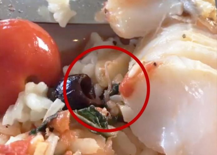 gusano-por estados unidos