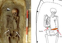 Hallan un «cíborg» medieval con un cuchillo en vez de mano en Italia ciencia
