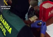 Desarticulan red de narcotraficantes en el sur de España