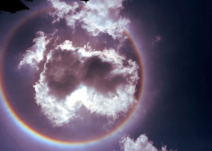 halio_gEqcrew halo solar