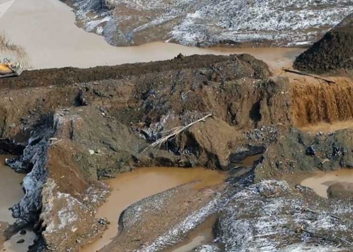 hallan-con-vida brasil