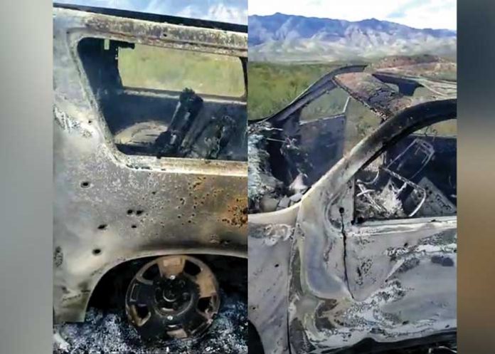 hallan-con-vida-_mzjdW3i