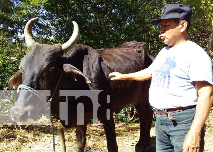 hambre-cero-ticuantepe-1 nicaragua