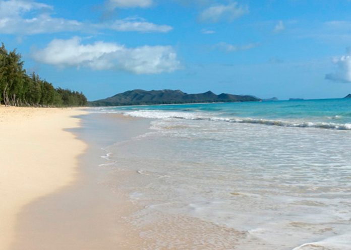 hawai_CaTvk6V encuentran virus