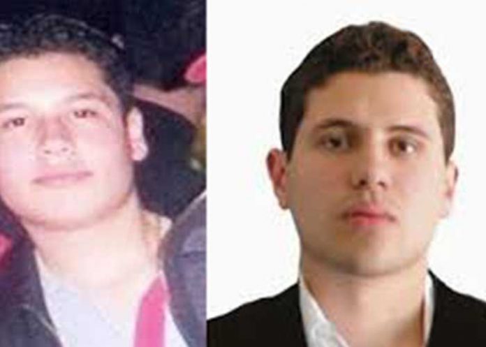 hijos-narco estados unidos