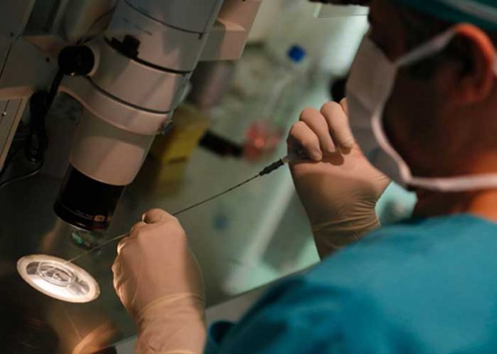 holandes-uno holanda