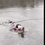 Hombre que patinaba en traje de baño en canal de Ámsterdam pasa ‘tremenda pena’ amsterdam