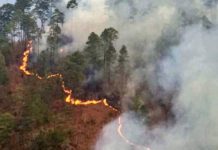 Incendio forestal en Honduras dejó 2 bomberos muertos honduras