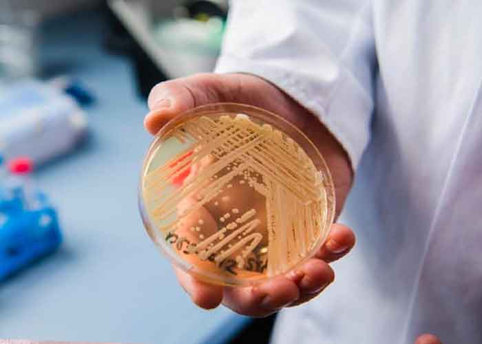 hongo-candida-el-salvador el salvador