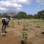 Privados de libertad de Nicaragua aprenden oficio del campo nicaragua