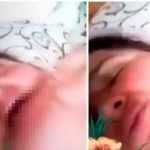 Quiso enviarle video sexual a su esposo pero lo envió a sus amigos bulgaria