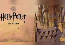 harry potter at home