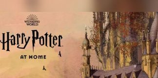 harry potter at home