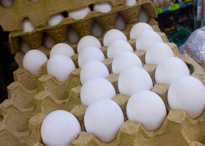 hue_Lh9whMC consume huevo