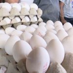 Nicaragüenses consumen más huevo por año nicaragua