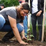 Escuela Hotel Casa Luxemburgo promueve la nutrición con los huertos nicaragua