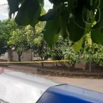Investigan una posible causa de misteriosa muerte en vivienda de Managua nicaragua
