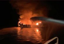 Asciende a 20 los muertos tras incendiarse barco en California estados unidos