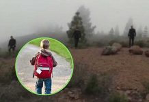 España: Niño ayudó a encontrar a su hermano y madre asesinados