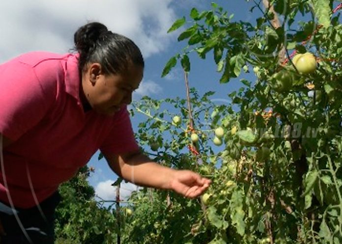 i3_IF02Kxa nicaragua