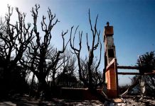 Ascienden a 42 los muertos en el gigantesco incendio del norte de California estados unidos
