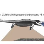 Hallan un fósil de reptil en el estómago de un fósil de reptil mayor estados unidos