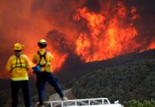 incendios forestales