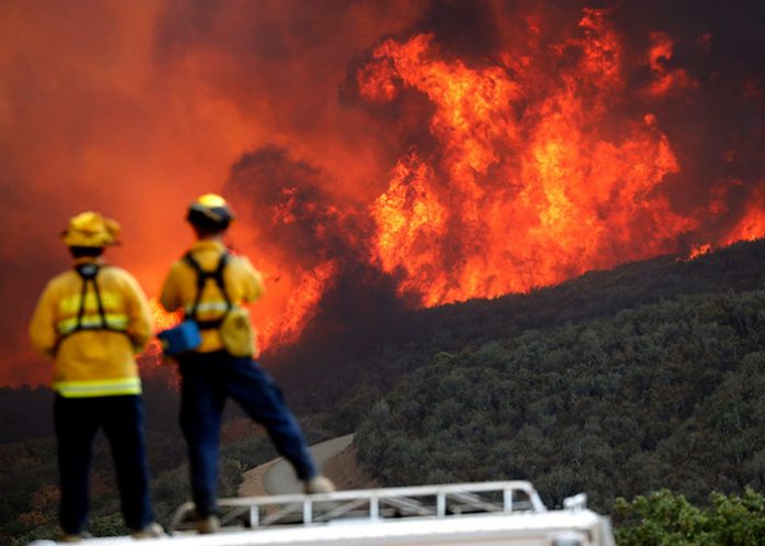 incendios forestales