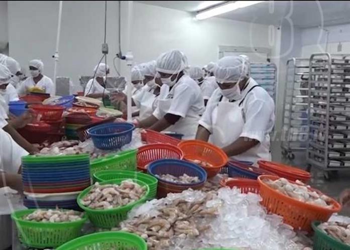 in-1_A3Gn9TY nicaragua