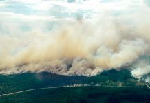 Suecia acosada por incendios en una inusitada ola de calor suecia