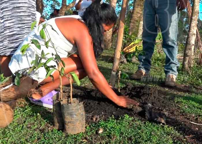 inafor-bilwi-2 nicaragua