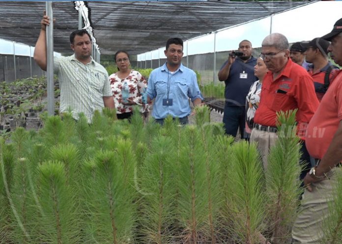 inafor-leon-03 nicaragua