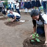 Campaña de reforestación en Nicaragua «Un Madroño para mi Purísima» nicaragua