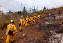 Incendios acabaron con 2.000 hectáreas de bosques en Guatemala guatemala