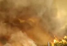 Incendio forestal descontrolado azota España en plena ola de calor