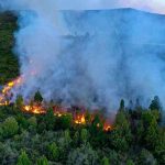 Argentina: Incendio en El Bolsón consume 8.500 hectáreas de bosque argentina