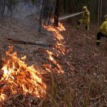 Disminución del calor lleva algo de alivio por incendios en Australia australia