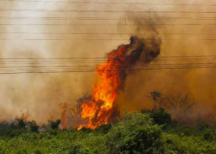 incendio-en-pantanal-brasil brasio