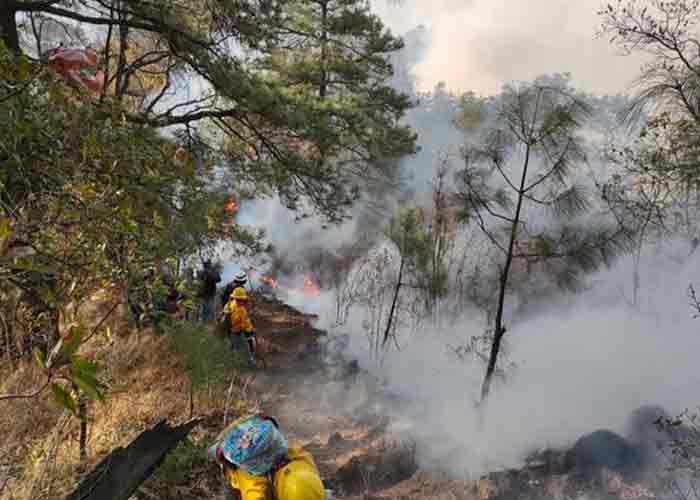 incendio-en-parque mexico